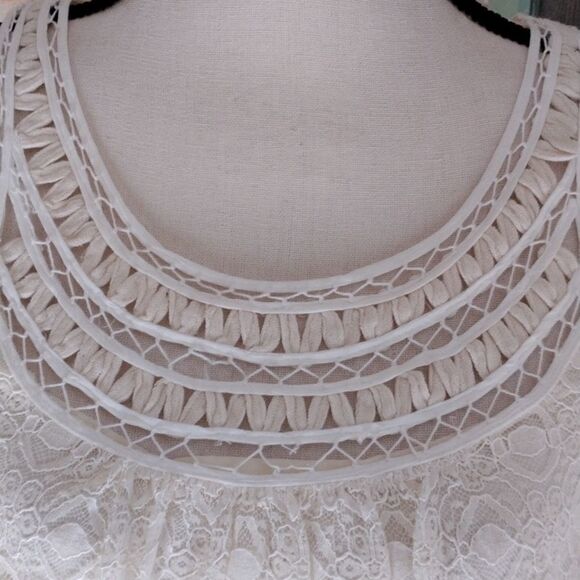 NWT Max Studio Lace Shift Dress - Picture 4 of 13